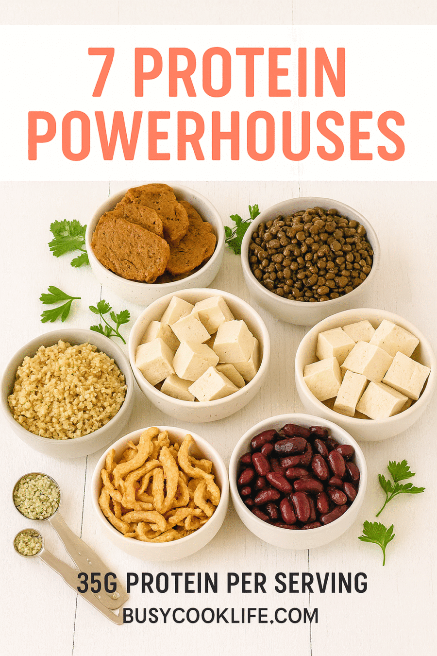 Seven vegan protein sources including seitan, tempeh, and lentils arranged for meal prep from BusyCookLife