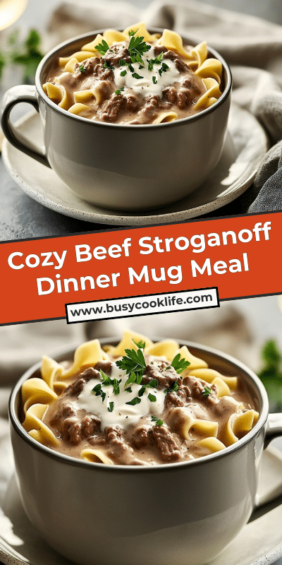 Cozy Beef Stroganoff Dinner Mug Meal