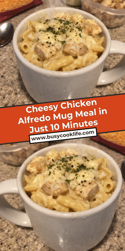 Cheesy Chicken Alfredo Mug Meal in Just 10 Minutes