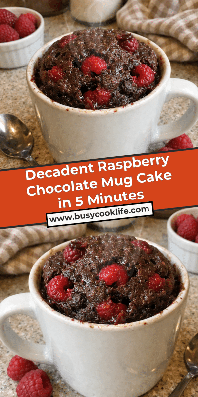 Decadent Raspberry Chocolate Mug Cake in 5 Minutes